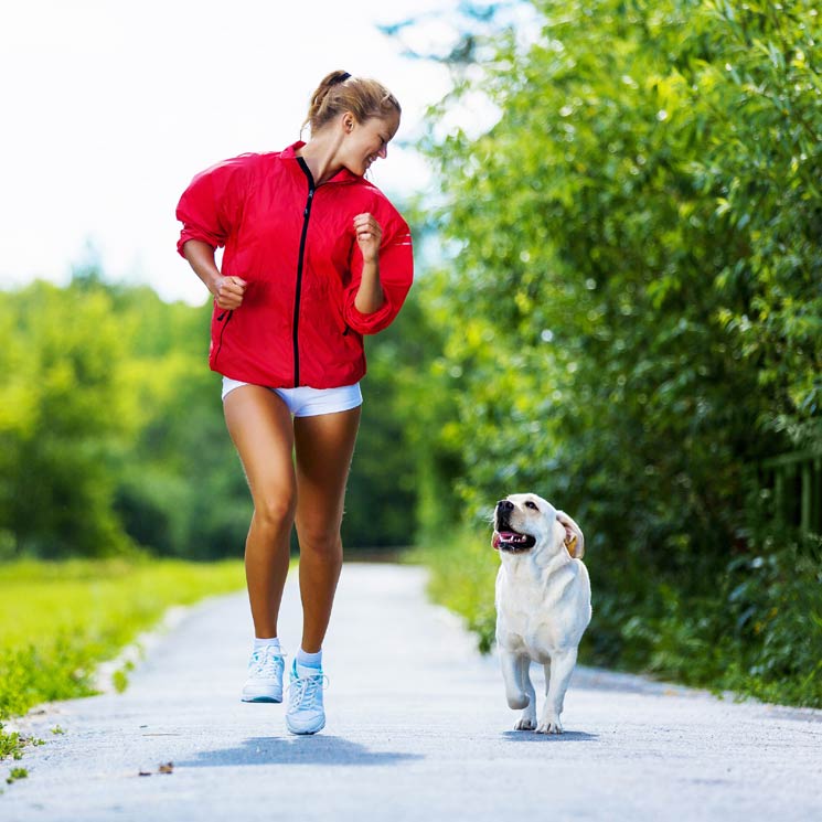 Los 7 deportes más divertidos que puedes practicar con tu mascota 