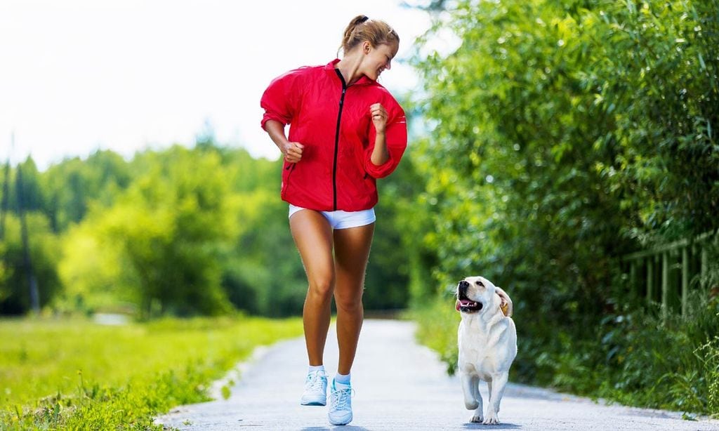 Los 7 deportes más divertidos que puedes practicar con tu mascota