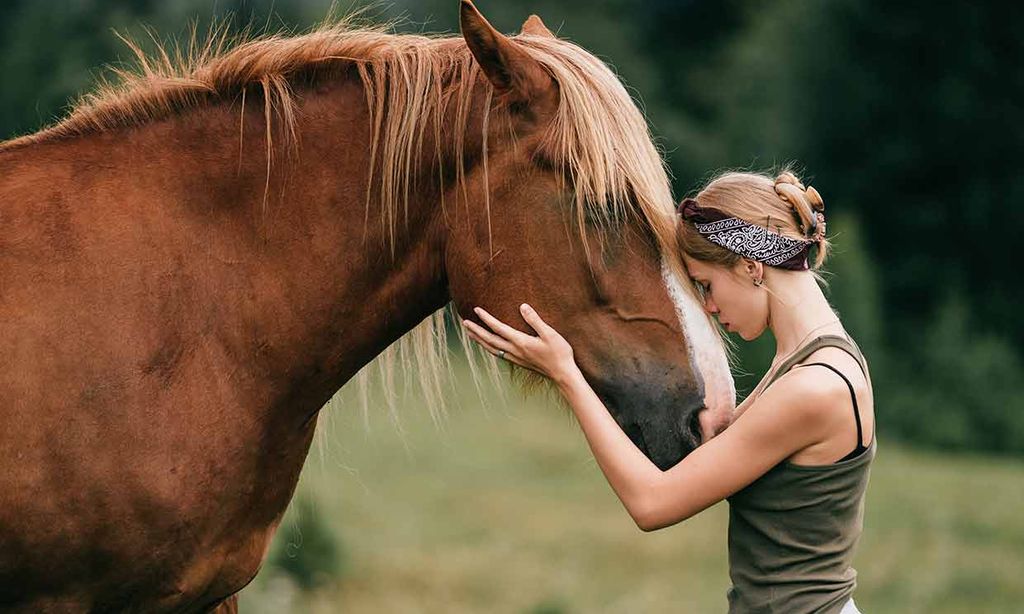 Animales que (casi) nunca duermen: hasta 84 horas sin pegar ojo