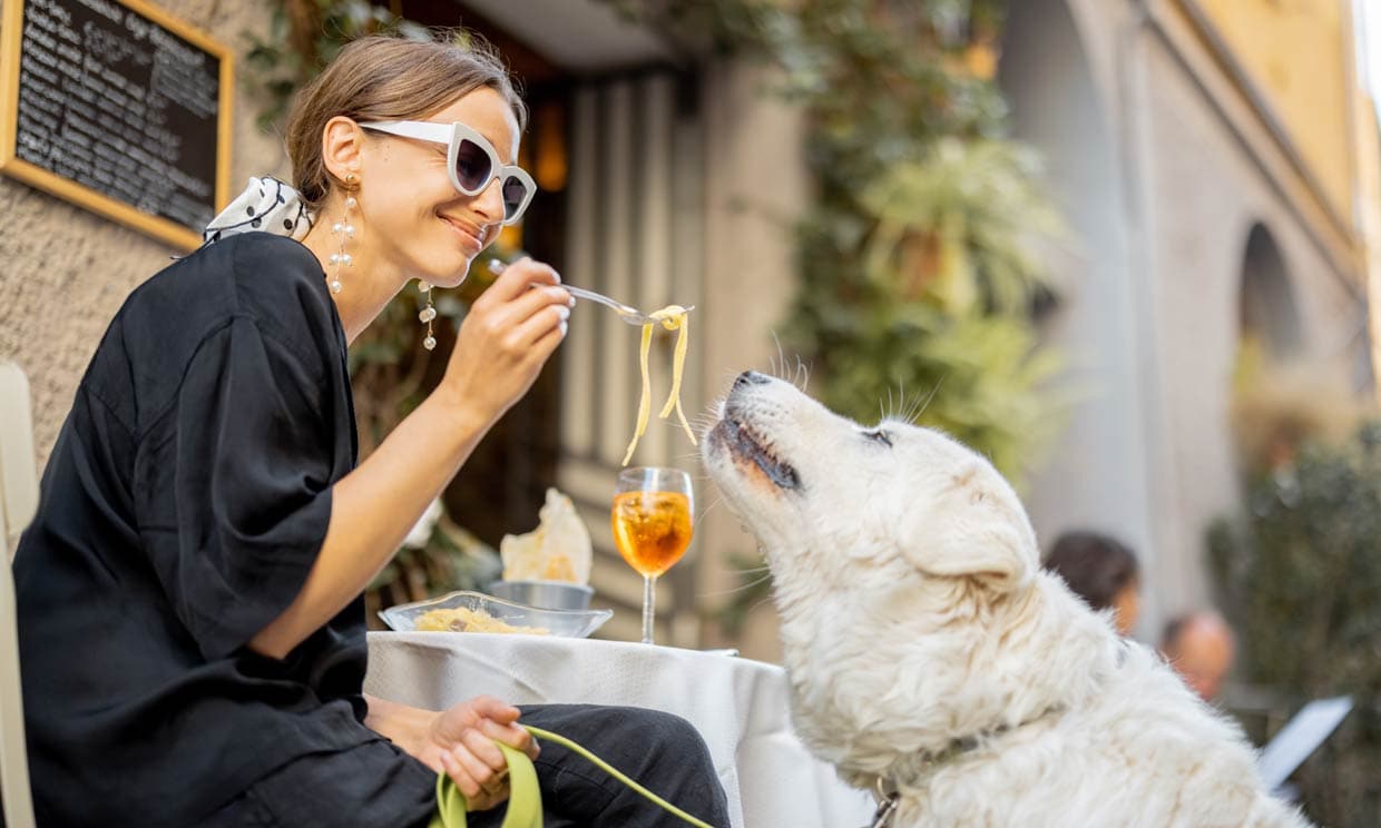 mujer ofreciendo espaguetis a un perro
