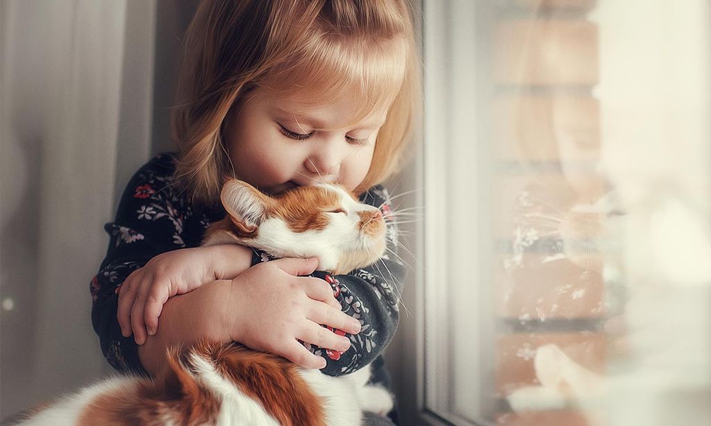 Estas son las razas de gatos más cariñosos con los niños