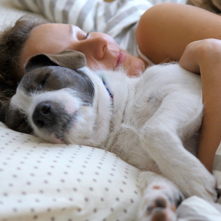 Dormir con tu perro no es tan bueno como crees