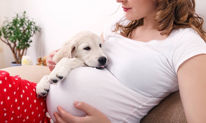 Una mujer embarazada con su perro