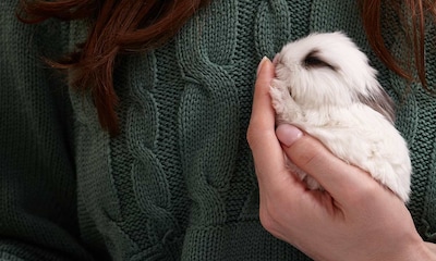 8 errores que tal vez cometes con tu conejo