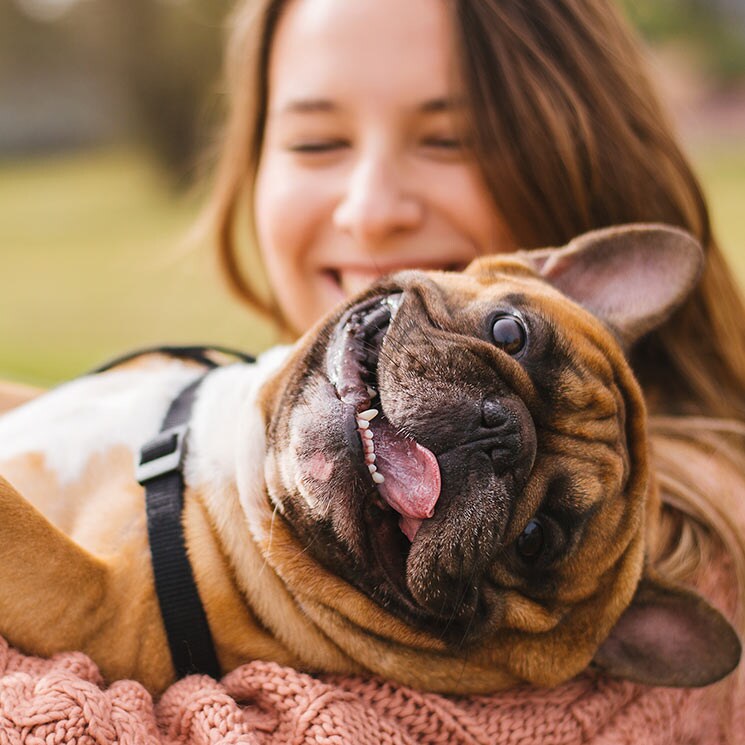 ¿Tienes un 'perrhijo'? Una nueva forma de relacionarnos con nuestras mascotas