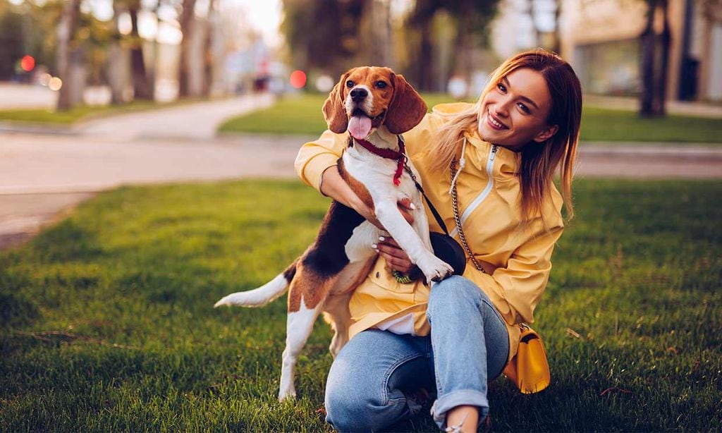 Comprende la felicidad de tu perro gracias a la pirámide de Maslow