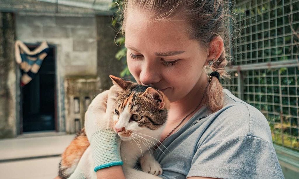 Una niña abrazando a un gato perdido.