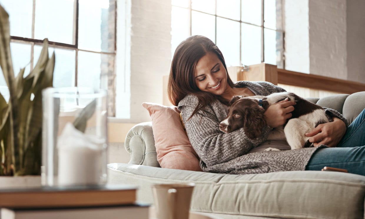 Estos consejos te serán muy útiles para frenar el hiperapego en perros