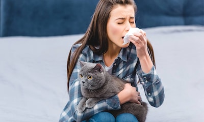 Qué hacer si la alergia que te produce tu perro o gato se hace insostenible