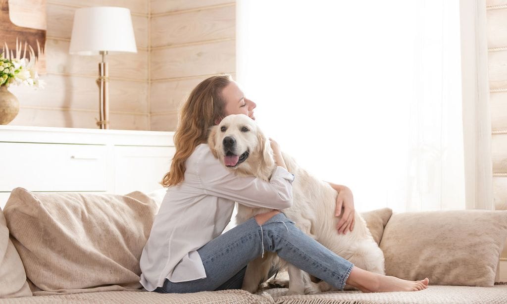 ¿Conoces todos los beneficios de la terapia asistida con animales?