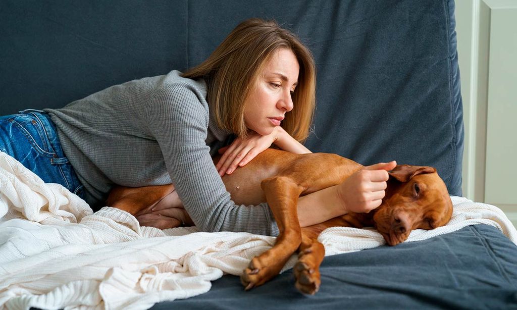 ¿Podría estar transmitiendo mi tristeza a mi mascota?