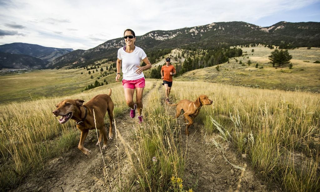 ¡Que el calor no te pare! Consejos para entrenar con tu mascota en los meses de verano