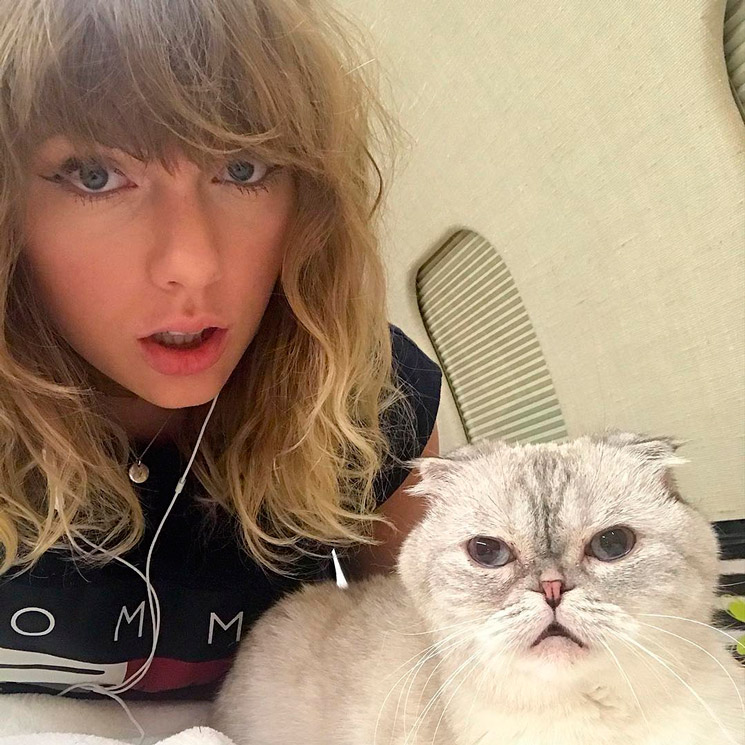 Taylor Swift y los nuevos 'must-have' para los amantes de los gatos