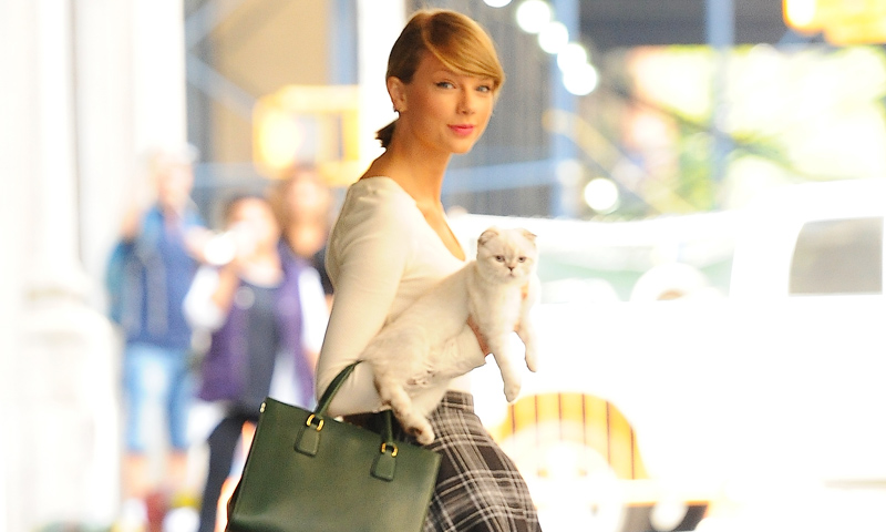 Taylor Swift y los nuevos 'must-have' para los amantes de los gatos