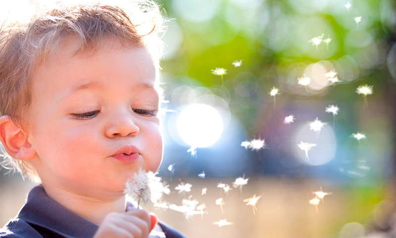 La naturaleza y alegría tailandesas, una opción para el nombre de tu hijo