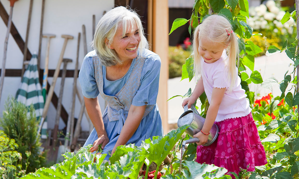 Plan en familia: plantar germinados para que los niños aprendan de la naturaleza