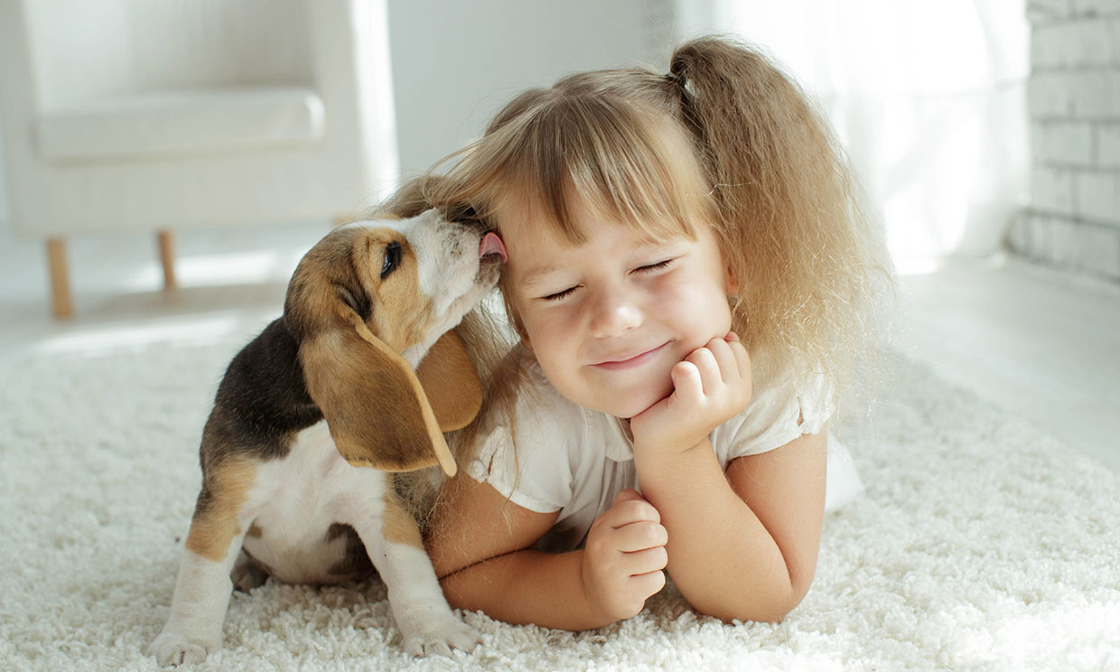 ¿Cuáles son las mejores mascotas para los niños?