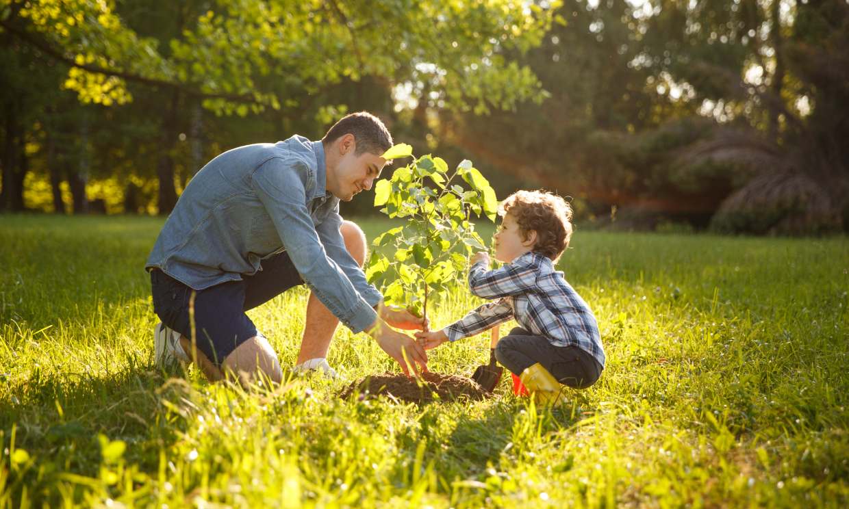 10 cosas que puedes enseñarles a tus hijos para que cuiden el medio ambiente