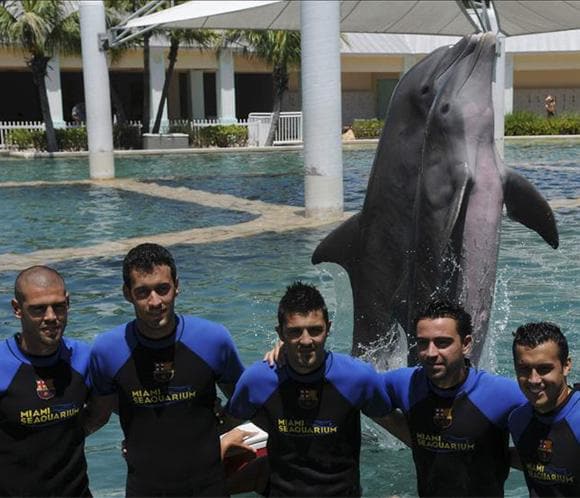 Los jugadores del FC Barcelona nadan con delfines en Miami