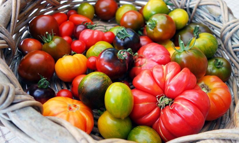 ¿Por qué llamamos verdura al tomate cuando, en realidad, es una fruta?