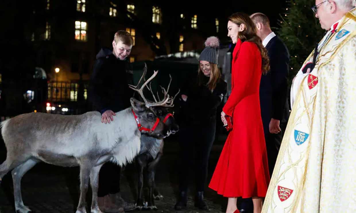 Los duques de Cambridge calientan motores para la Navidad entre villancicos... ¡y renos!