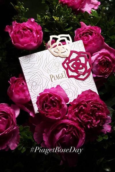 Vive con Piaget el primer 'Día de la Rosa', un evento único para una rosa única