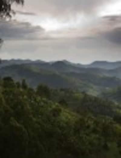Gorilas, volcanes y paraísos naturales: Descubre Ruanda en tu luna de miel