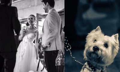 ¿Quieres que tu mascota se convierta en un invitado más el día de tu boda, tal y como hizo Marta Hazas?