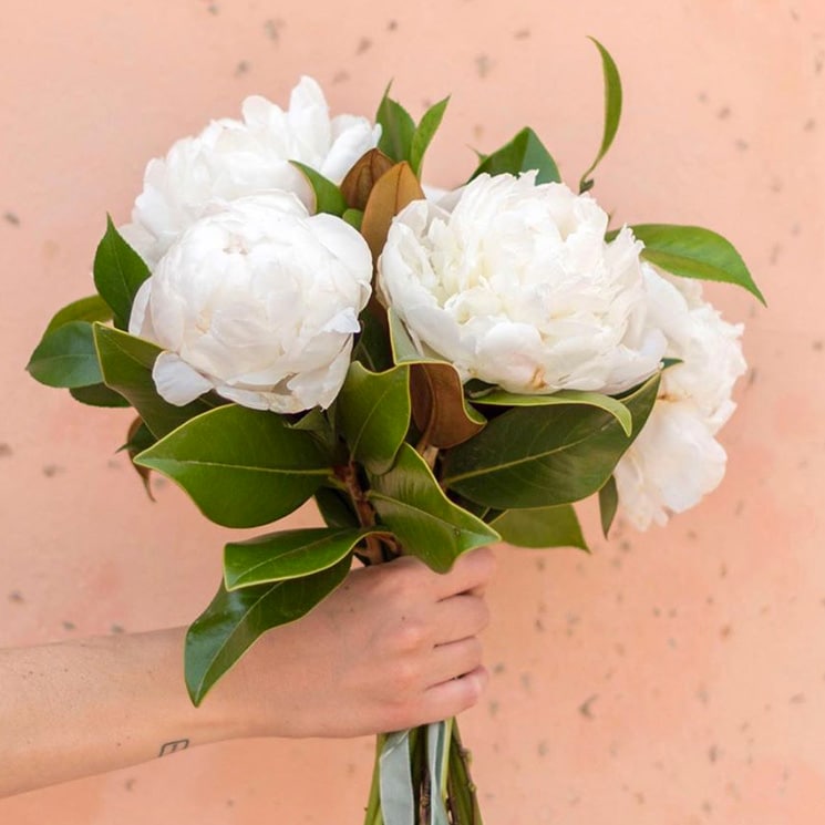 Ramos De Novia Para Chicas Que Quieren Flores Blancas En Su Gran