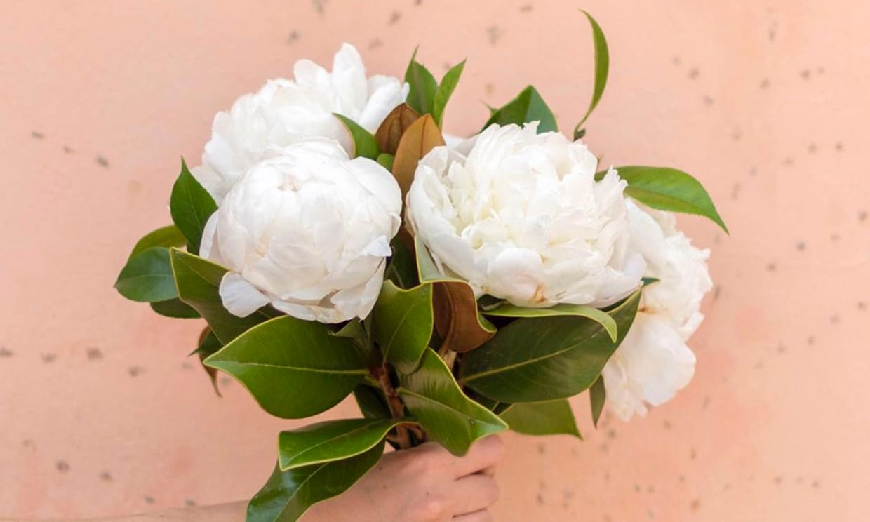 Ramos de novia para chicas que quieren flores blancas en su gran día - Foto  1