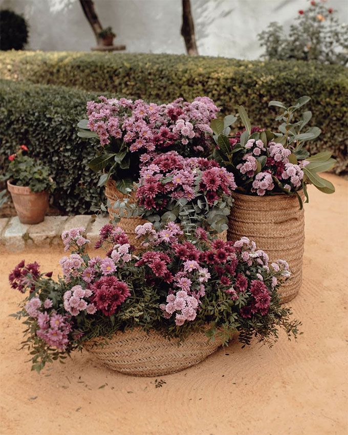 Ideas de decoración para el día B 3