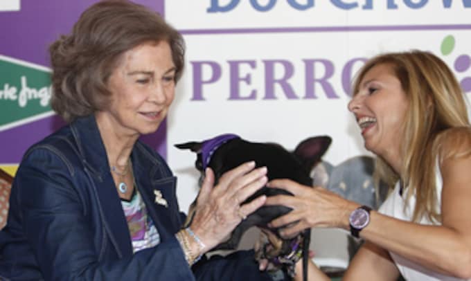 La reina Sofía apoya la adopción de perros abandonados