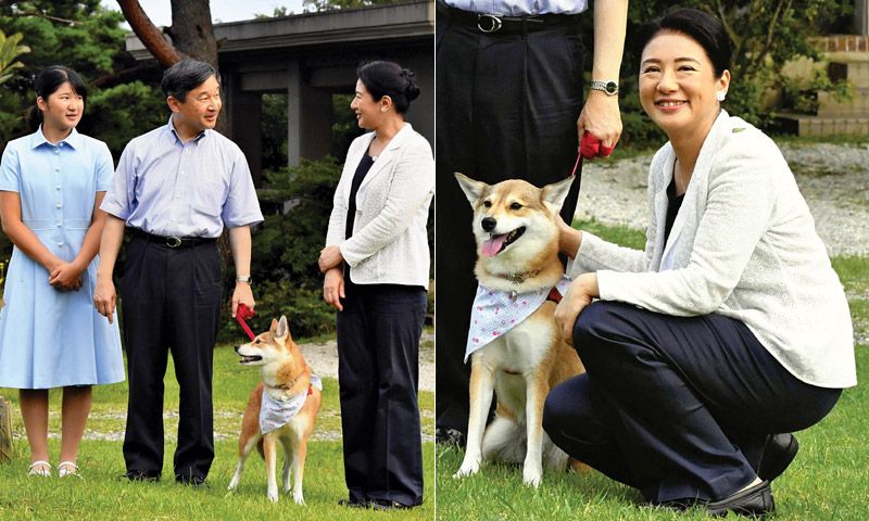 Masako de Japón, la cuenta atrás de la futura emperatriz