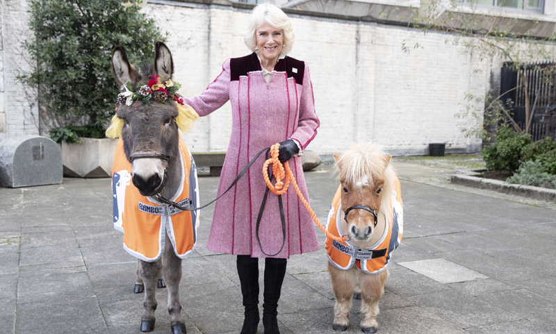 La Navidad real más irreverente de Máxima de Holanda, Marie Chantal de Grecia o la Duquesa de Cornualles