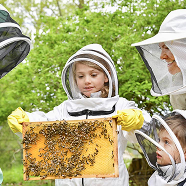  ¡Sin miedo a nada! Estelle y Oscar de Suecia se atreven con la apicultura 