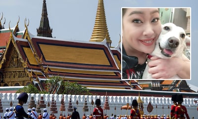 La desaparición del perro de una Princesa tailandesa desata una operación sin precedentes