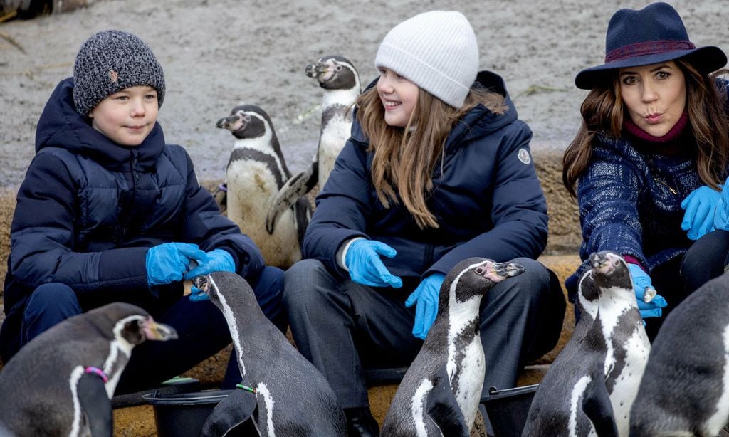 Mary de Dinamarca y sus hijos pequeños, divertido día de excursión ¡rodeados de pingüinos!
