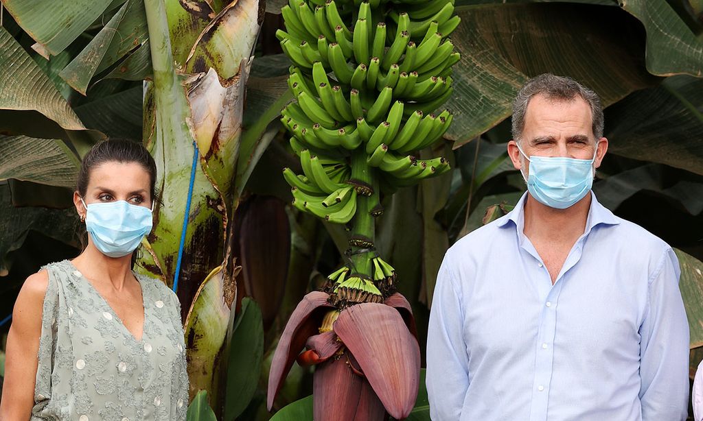 Don Felipe y doña Letizia, entre plataneras: la escena más tropical en su visita a Tenerife