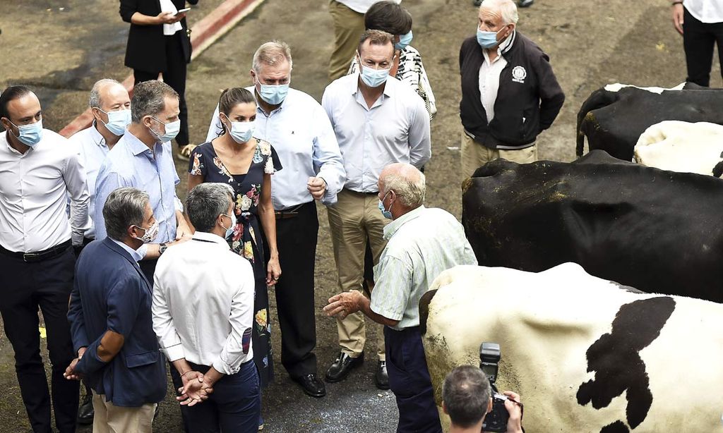 La curiosa jornada de los Reyes entre vacas, cencerros y anchoas