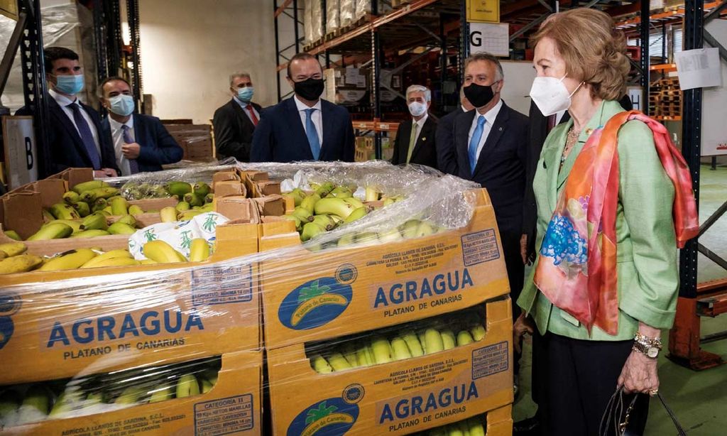 Doña Sofía sigue con su recorrido solidario por España para conocer los estragos del COVID