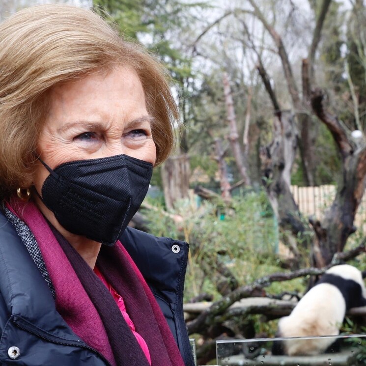 Doña Sofía desafía a la lluvia para no faltar a la cita con sus animales favoritos, los osos panda