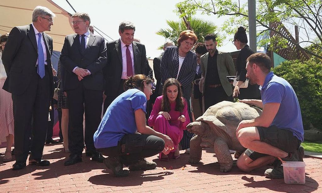 Doña Letizia visita a ‘Darwin’, una tortuga gigante de Aldabra