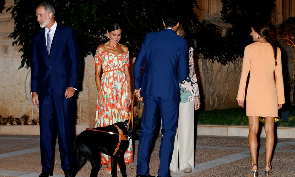 Cayden, el perro guía del atleta paralímpico Joan Munar Martínez que conquistó a la reina Letizia