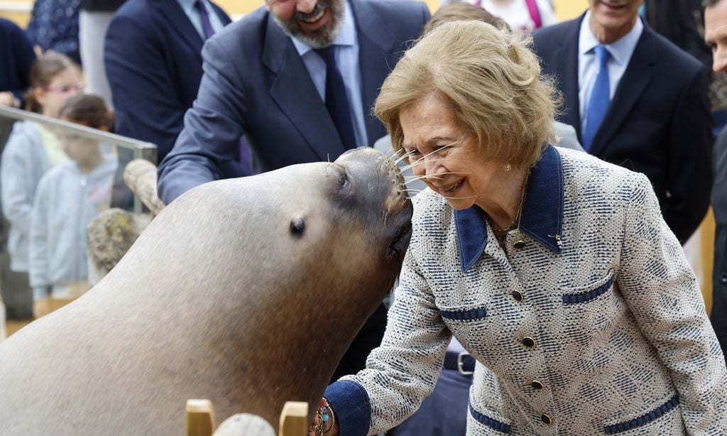 Las curiosas imágenes de la reina Sofía con un león marino en el Zoo de Madrid
