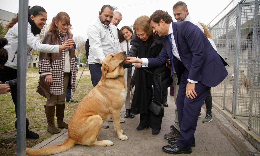 Las simpáticas imágenes de doña Sofía en su visita al centro municipal de protección animal de Las Rozas