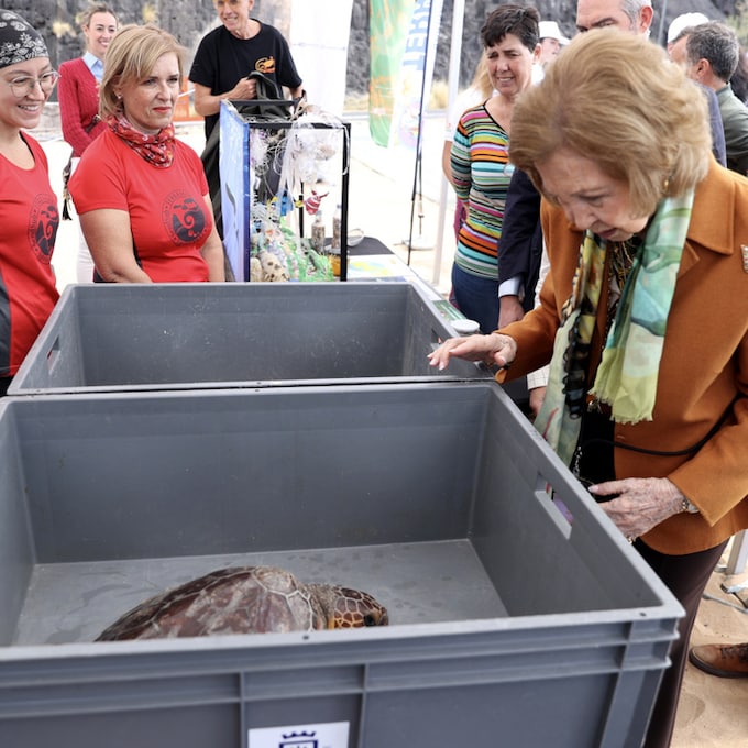 Las emotivas imágenes de la reina Sofía en Tenerife soltando dos tortugas, ¡bautizadas por ella misma!