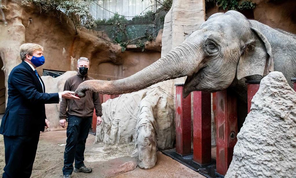 Tú al zoo y yo a un premio de danza: Guillermo y Máxima de Holanda protagonizan las fotos más divertidas