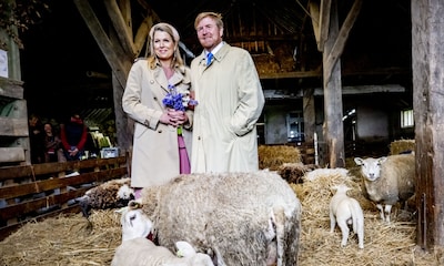 Las curiosas imágenes de Guillermo y Máxima de Países Bajos entre ovejas