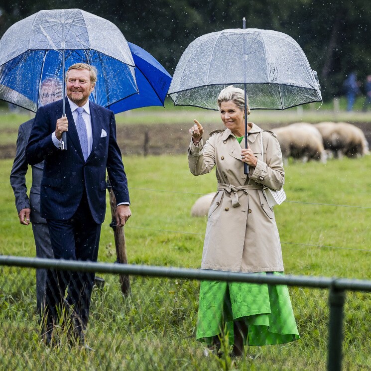 Las imágenes más curiosas de la reina Máxima con tocado y tacones en el campo rodeada de ovejas