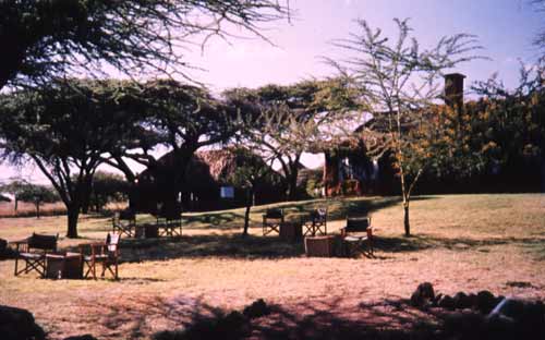 Guillermo de Inglaterra: verano en África